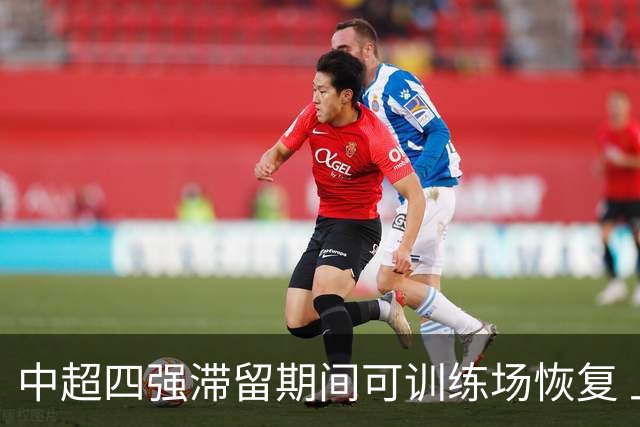 中超四强滞留期间可训练场恢复 上港感谢足协努力